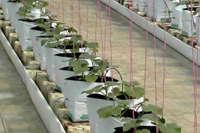 Additional-Coir-Products