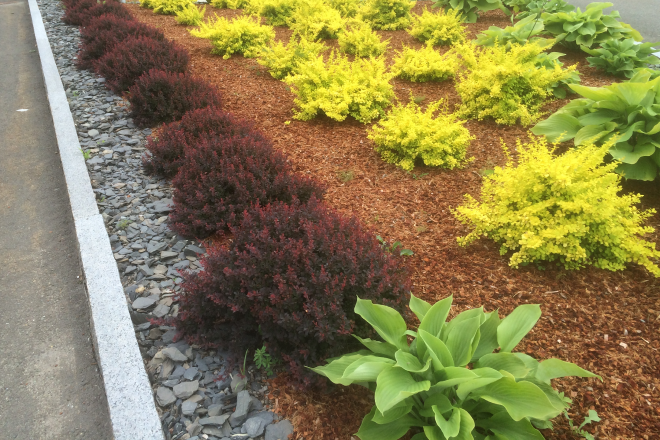 Additional-Coir-Products