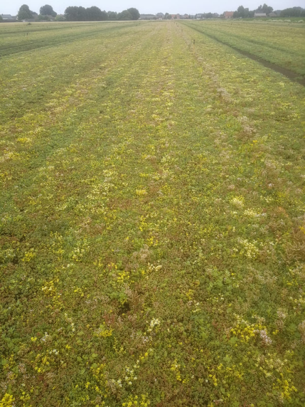 Coir-Blankets-Coir-Mats