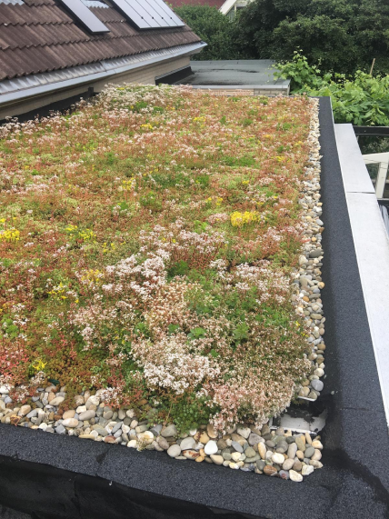 Coir-Blankets-Coir-Mats