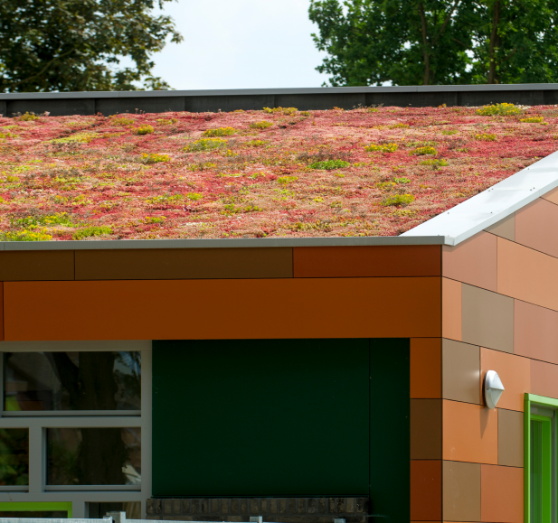 Coir-Blankets-Coir-Mats