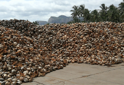 Cocopeat-washed-or-Buffered