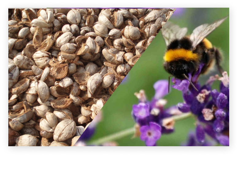 Coir-the-environment