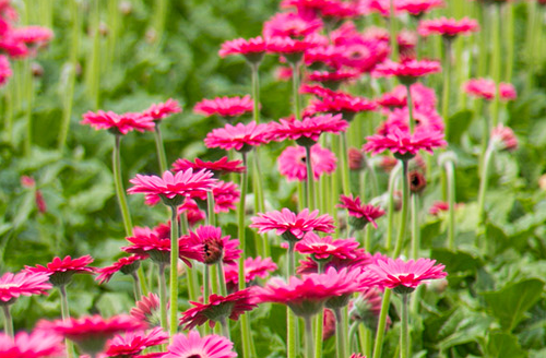 Elfferich-Product-Range