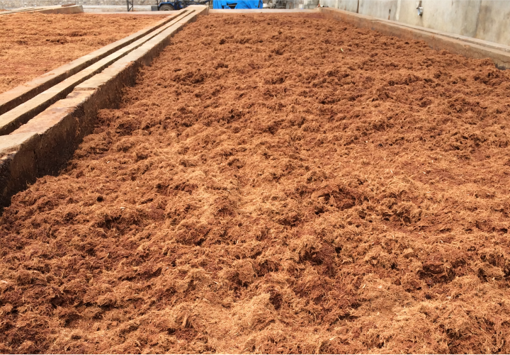 Why-Coir-Substrates